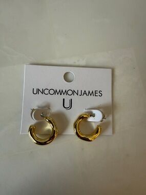 Uncommon James hoops